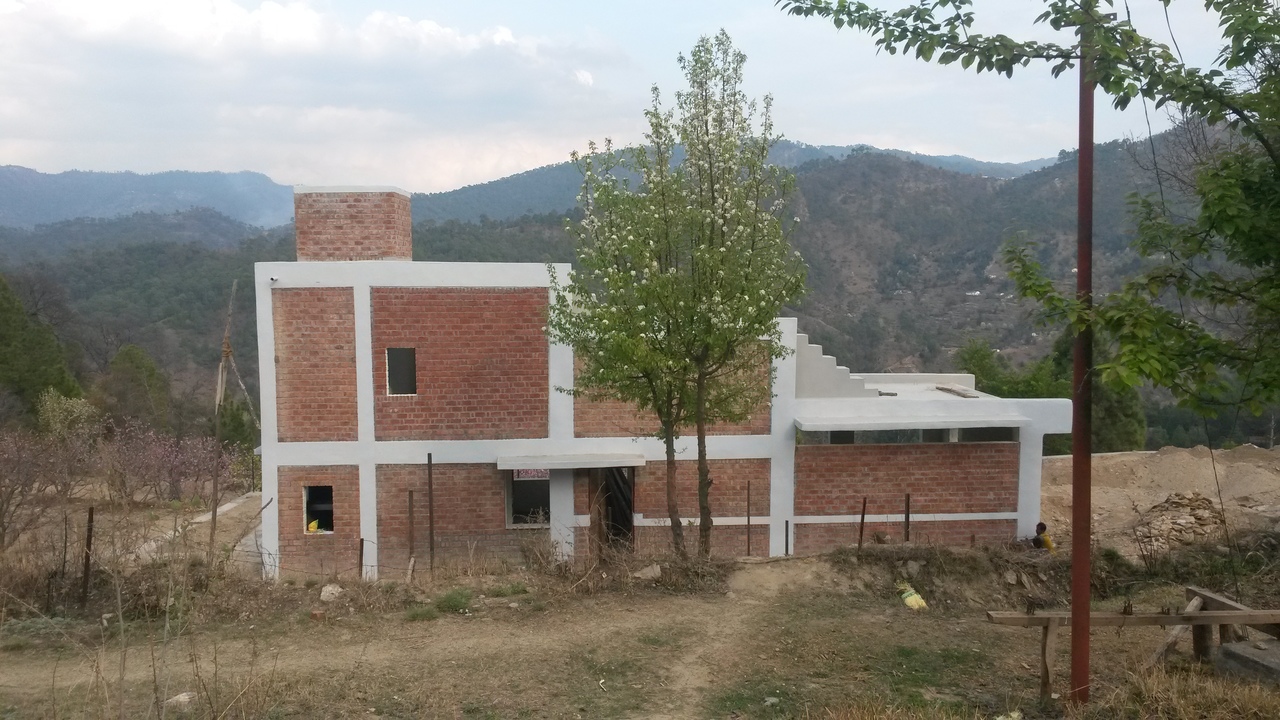 House from the west with wild pear in bloom