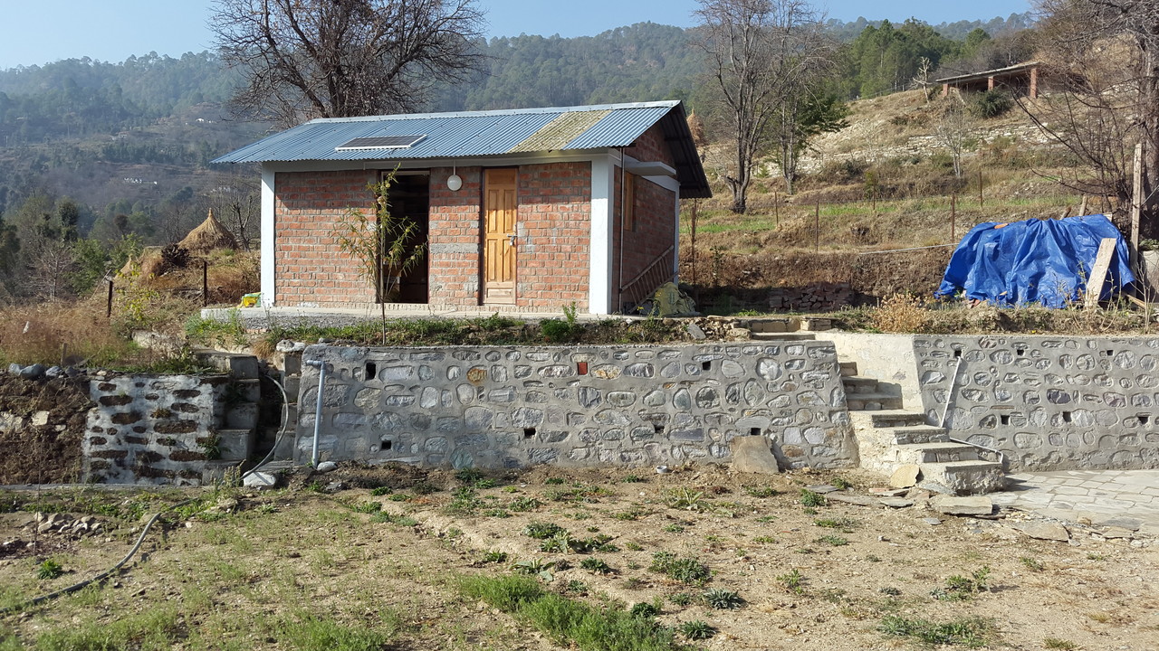 Shed from kitchen garden