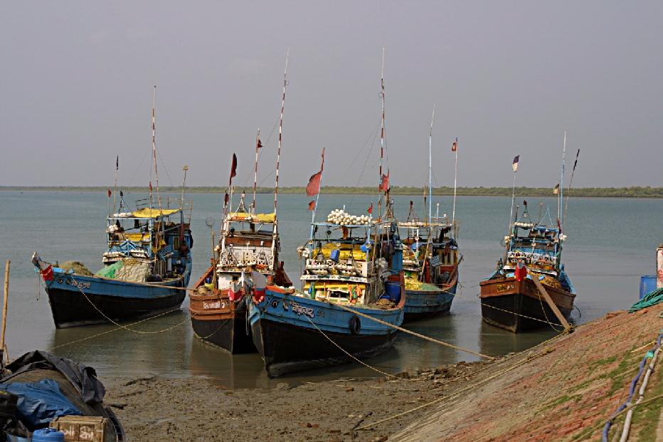 Docked boats